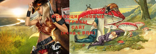 соль ск Вязники