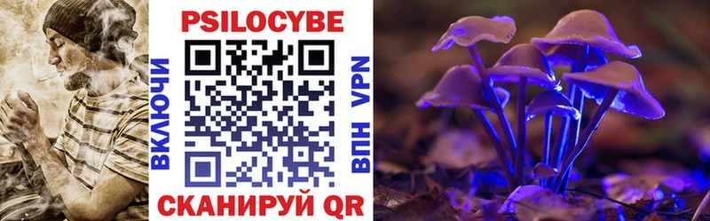 Псилоцибиновые грибы Cubensis  где купить наркотик  Новороссийск 